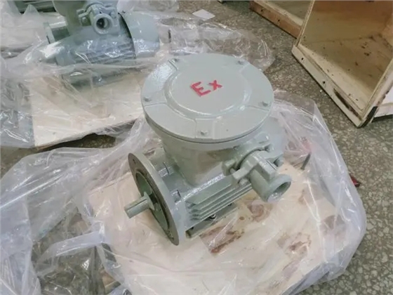 防爆電機