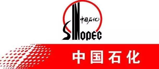 羅德凸輪轉子泵石油石化行業(yè)應用與發(fā)展