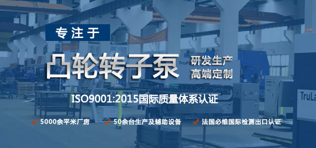 凸輪轉(zhuǎn)子泵生產(chǎn)廠家，專注于凸輪轉(zhuǎn)子泵的研發(fā)生產(chǎn)，高端定制